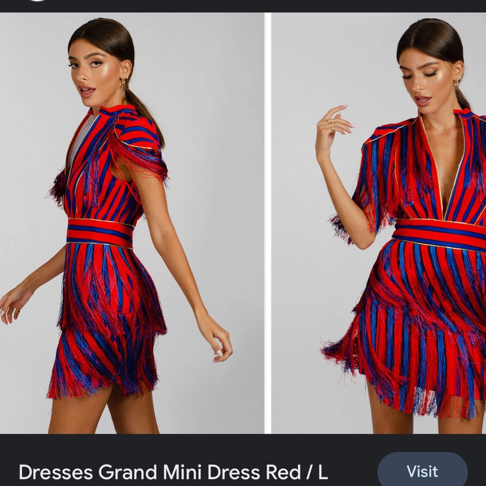 PARTY Zecrave grand mini dress - size S, never worn, og purchased f$250+ - Picture 3 of 6